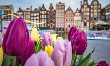 Amsterdam a větrné mlýny 🌷